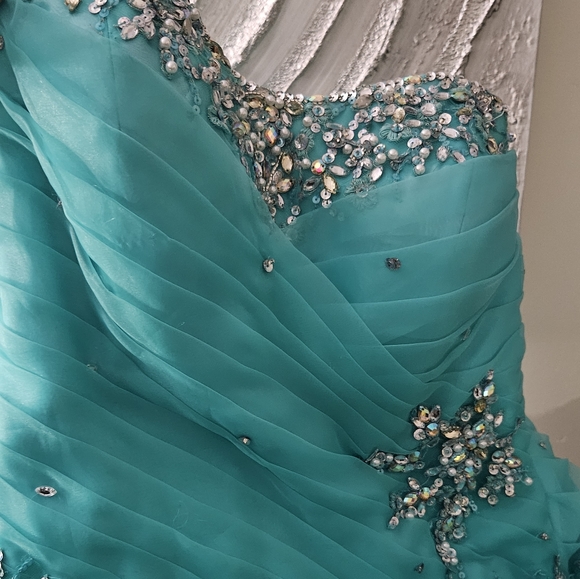 Quiencenera Dress, Prom or Ball Dress - Picture 8 of 14